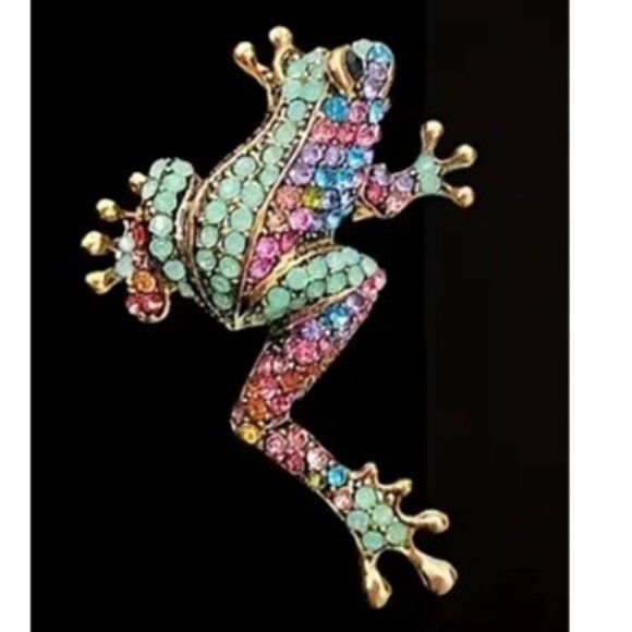 d'Vine Products Jewelry - Vibrant Multicolor Rhinestone Frog Brooch